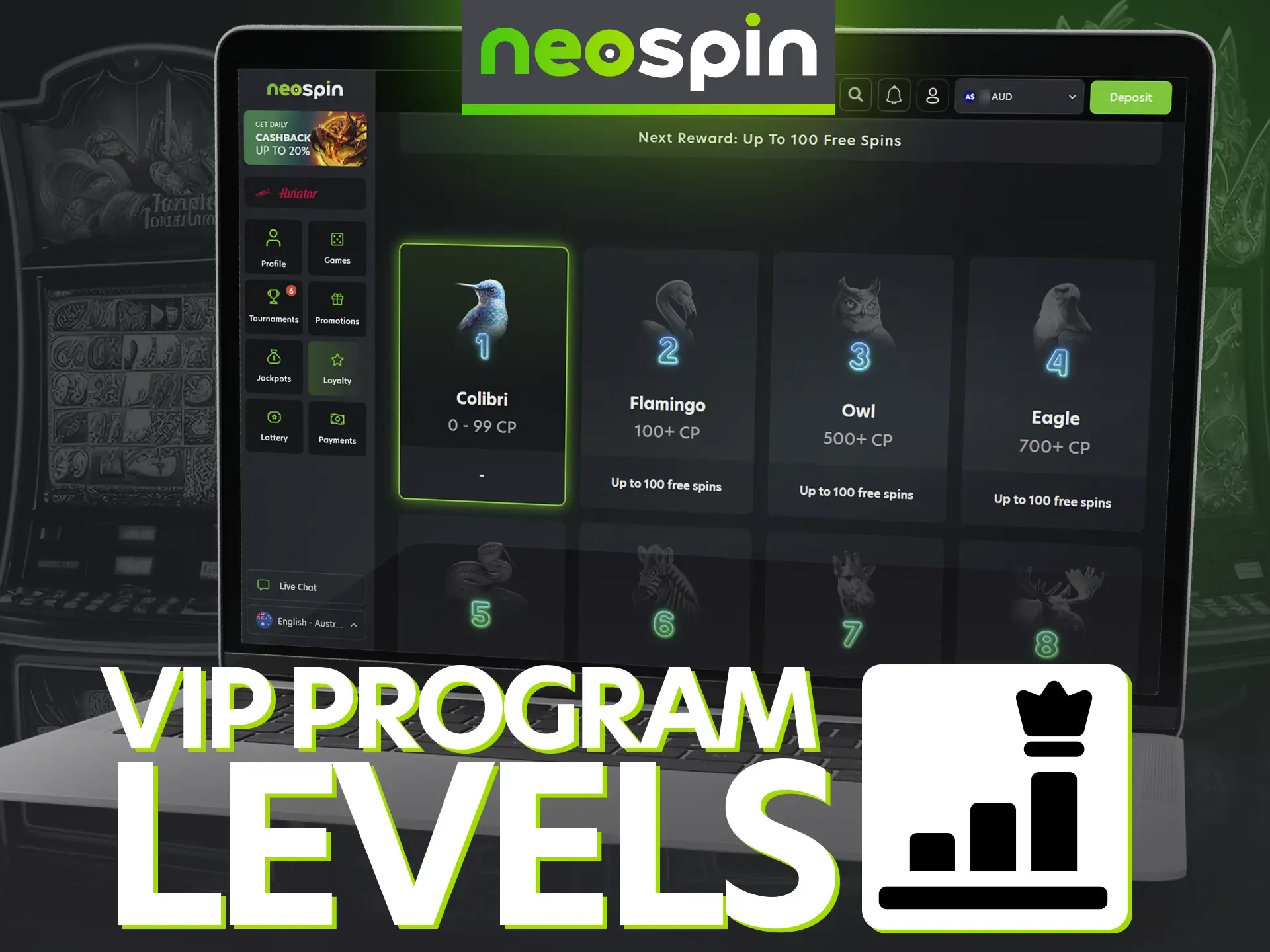 Read about different types of Neospin VIP levels.